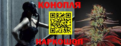 стафф Камышлов