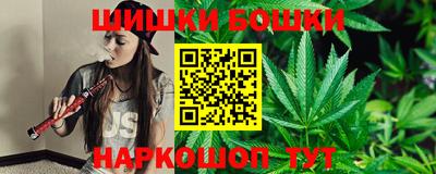 стафф Камышлов