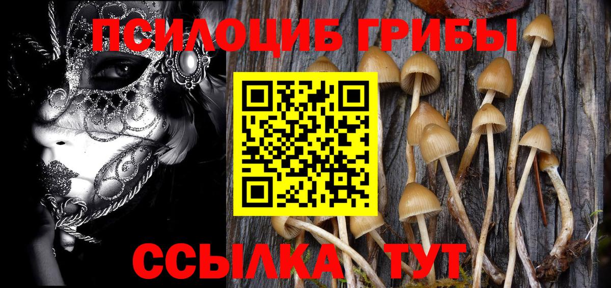 Якутск  Галлюциногенные грибы мухоморы  Вход с VPN  Псилоцибиновые грибы MAGIC MUSHROOMS 
